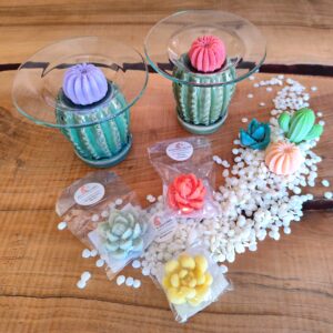 Brûle-parfum en céramique émaillée verte en forme de cactus, accessoire décoratif pour fondants parfumé